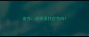 家养小猫需要打疫苗吗