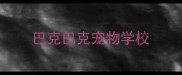 巴克巴克宠物学校