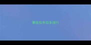 赛级拉布拉多排行