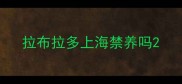 拉布拉多上海禁养吗