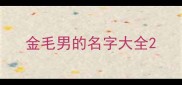 金毛男的名字大全