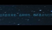 拉布拉多100天的发育全品种特性喂养要点与行为观察指南