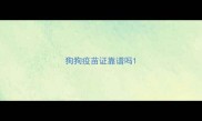 狗狗疫苗证靠谱吗