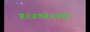 重庆宠物美容学院