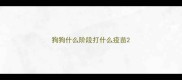 狗狗什么阶段打什么疫苗