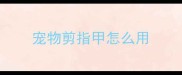 宠物剪指甲怎么用