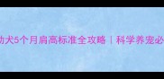 边牧幼犬5个月肩高标准全攻略科学养宠必看