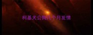 柯基犬公狗几个月发情