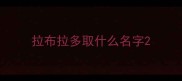 拉布拉多取什么名字