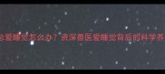 哈士奇总爱睡觉怎么办资深兽医爱睡觉背后的科学养护指南