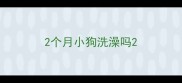 2个月小狗洗澡吗