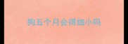 狗五个月会得细小吗