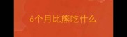 6个月比熊吃什么