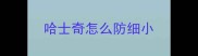 哈士奇怎么防细小