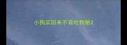 小狗买回来不肯吃狗粮