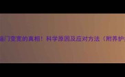边牧脑门变宽的真相科学原因及应对方法附养护指南