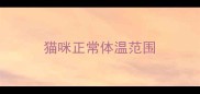 猫咪正常体温范围
