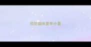 预防猫咪夏季中暑
