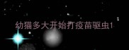 幼猫多大开始打疫苗驱虫