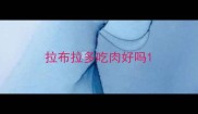 拉布拉多吃肉好吗