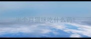 半个月猫咪吃什么药