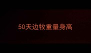 50天边牧重量身高