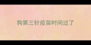 狗第三针疫苗时间过了