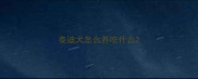 泰迪犬怎么养吃什么