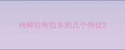 纯种拉布拉多的几个特征