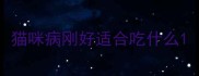 猫咪病刚好适合吃什么