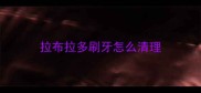 拉布拉多刷牙怎么清理