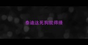 泰迪这死狗就得揍