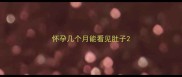怀孕几个月能看见肚子