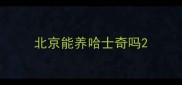北京能养哈士奇吗