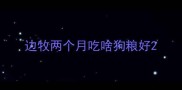 边牧两个月吃啥狗粮好