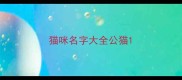 猫咪名字大全公猫