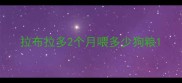 拉布拉多2个月喂多少狗粮