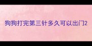 狗狗打完第三针多久可以出门