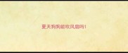 夏天狗狗能吹风扇吗