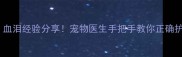 宠物拔牙后流血不止血泪经验分享宠物医生手把手教你正确护理附紧急处理指南