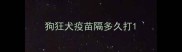 狗狂犬疫苗隔多久打
