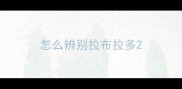 怎么辨别拉布拉多