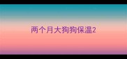 两个月大狗狗保温
