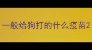 一般给狗打的什么疫苗
