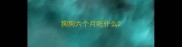 狗狗六个月吃什么