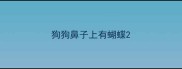 狗狗鼻子上有蝴蝶