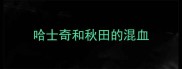 哈士奇和秋田的混血