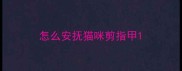 怎么安抚猫咪剪指甲