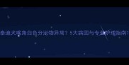 泰迪犬嘴角白色分泌物异常5大病因与专业护理指南