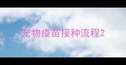 宠物疫苗接种流程